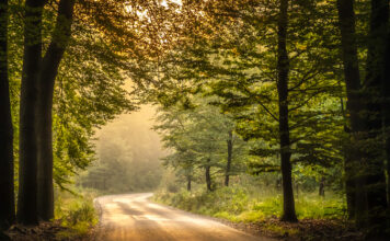 Tentoonstelling ‘Twintig keer Nunspeet’ in gemeentehuis’