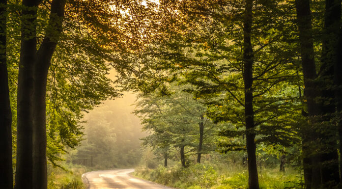 Tentoonstelling ‘Twintig keer Nunspeet’ in gemeentehuis’