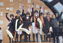 Ongekend succes voor Ponyclub Klein Maar Dapper uit Nunspeet op Hippiade 2025