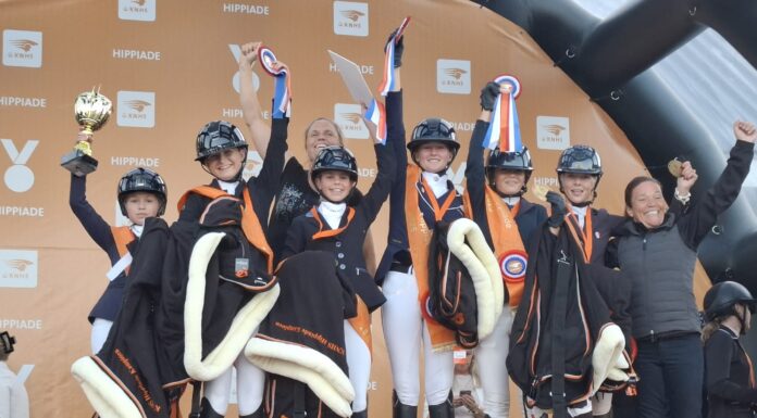 Ongekend succes voor Ponyclub Klein Maar Dapper uit Nunspeet op Hippiade 2025