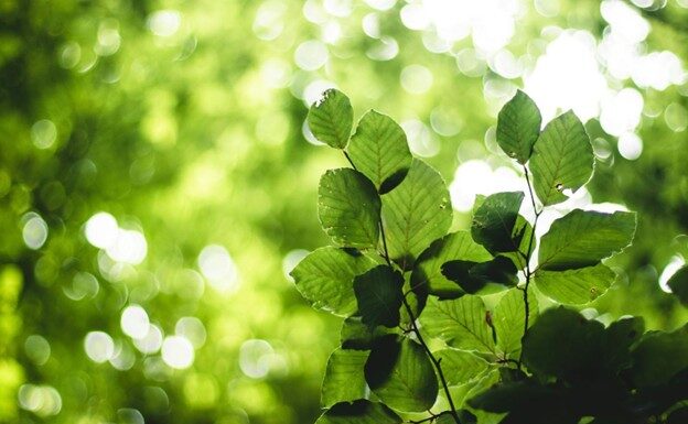 Toerisme in transitie: hoe Nunspeet digitale innovatie combineert met lokale ervaring