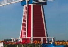 Actuele ontwikkelingen in Nederland – Politiek, economie en maatschappij in beweging