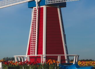 Actuele ontwikkelingen in Nederland – Politiek, economie en maatschappij in beweging