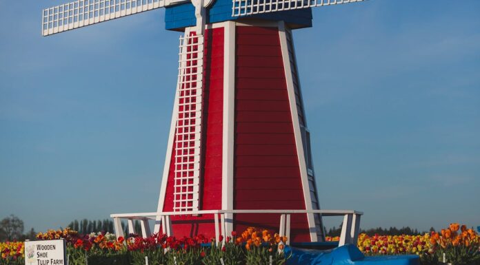 Actuele ontwikkelingen in Nederland – Politiek, economie en maatschappij in beweging