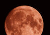 Bloedmaan binnenkort te zien