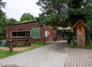 Bezoekerscentrum Veluwe dreigt verloren te gaan