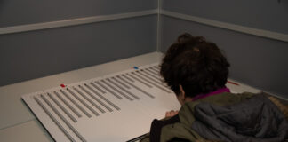 Toegankelijk stemmen tijdens de verkiezingen