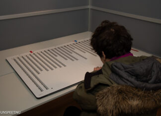 Toegankelijk stemmen tijdens de verkiezingen