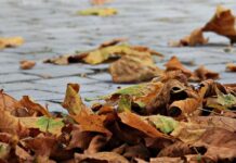 Zo bereid jij je kind voor op de herfst