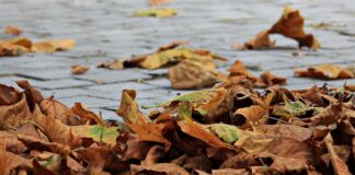 Zo bereid jij je kind voor op de herfst