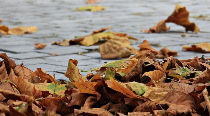 Zo bereid jij je kind voor op de herfst