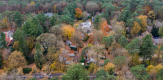 Gemeente wil Bospark Nuwenspete recreatief houden