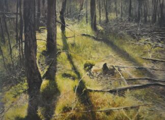Expositie Jan Pieter Foppen, impressionist op de Veluwe