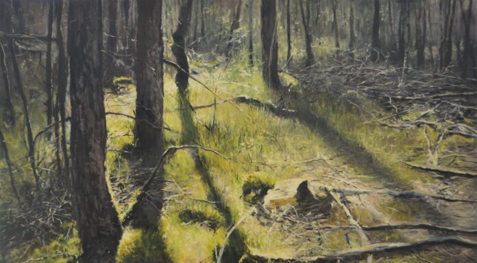 Expositie Jan Pieter Foppen, impressionist op de Veluwe