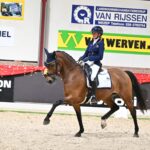 Succesvolle kerstconcoursen voor Ponyclub Klein Maar Dapper