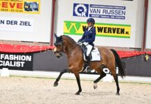 Succesvolle kerstconcoursen voor Ponyclub Klein Maar Dapper