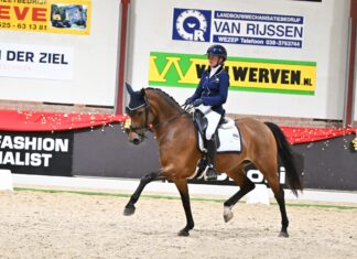 Succesvolle kerstconcoursen voor Ponyclub Klein Maar Dapper
