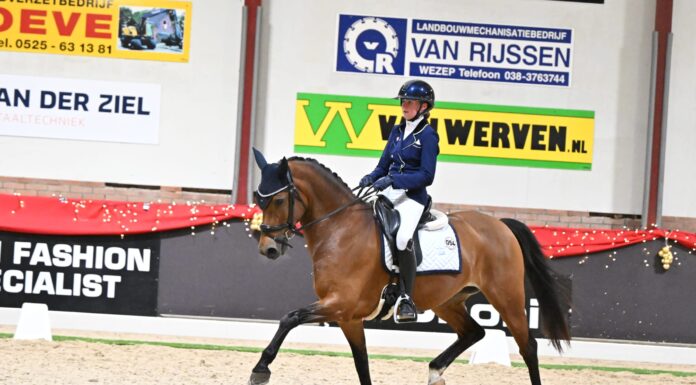 Succesvolle kerstconcoursen voor Ponyclub Klein Maar Dapper
