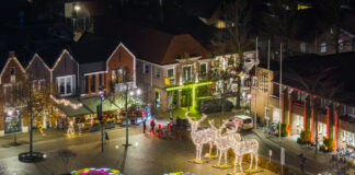 Stralende herten terug op het Marktplein: Nunspeet zet de winter aan!