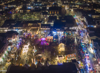 Verlichte herten slaan op hol na drone boven Nunspeet