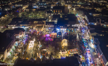 Verlichte herten slaan op hol na drone boven Nunspeet