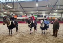 Ponyclub Klein Maar Dapper bezet volledig podium bij Kerstconcours in Kootwijkerbroek