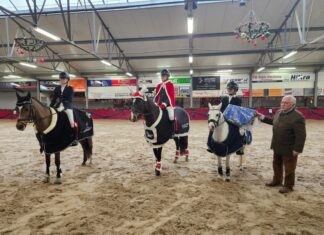 Ponyclub Klein Maar Dapper bezet volledig podium bij Kerstconcours in Kootwijkerbroek