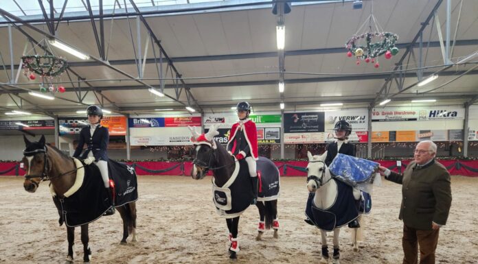 Ponyclub Klein Maar Dapper bezet volledig podium bij Kerstconcours in Kootwijkerbroek