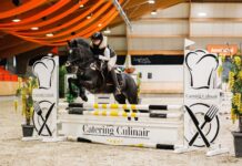 Sterke prestaties tijdens thuiswedstrijd Ponyclub Klein Maar Dapper