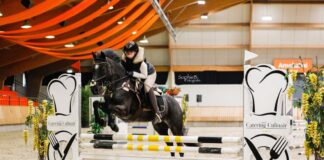 Sterke prestaties tijdens thuiswedstrijd Ponyclub Klein Maar Dapper
