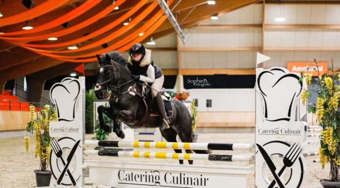 Sterke prestaties tijdens thuiswedstrijd Ponyclub Klein Maar Dapper