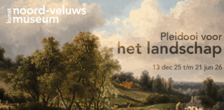 ‘Pleidooi voor het landschap’ vanaf 13 december te zien in het Noord-Veluws Kunstmuseum