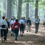 Ontdek de Veluwe tijdens de Veluwse Wandeldagen