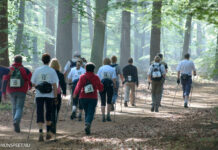 Ontdek de Veluwe tijdens de Veluwse Wandeldagen
