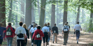 Ontdek de Veluwe tijdens de Veluwse Wandeldagen