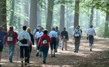 Ontdek de Veluwe tijdens de Veluwse Wandeldagen