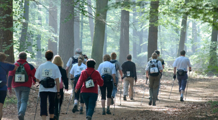 Ontdek de Veluwe tijdens de Veluwse Wandeldagen