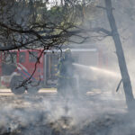 Gemeente Nunspeet ontvangt € 180.000 voor aanpak natuurbrandrisico
