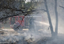 Gemeente Nunspeet ontvangt € 180.000 voor aanpak natuurbrandrisico