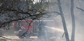Gemeente Nunspeet ontvangt € 180.000 voor aanpak natuurbrandrisico