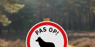 Wolf in het bos? Laat je niet beetnemen