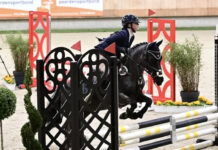 Succesvolle wedstrijdresultaten voor Ponyclub Klein Maar Dapper