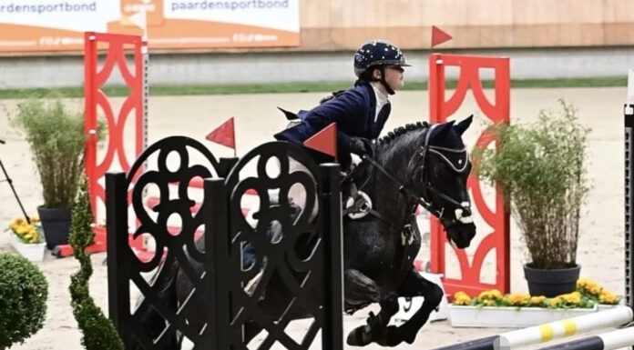 Succesvolle wedstrijdresultaten voor Ponyclub Klein Maar Dapper