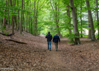 Doe 19, 20 & 21 februari mee aan de Veluwse Wandeldagen