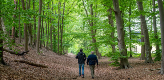 Doe 19, 20 & 21 februari mee aan de Veluwse Wandeldagen