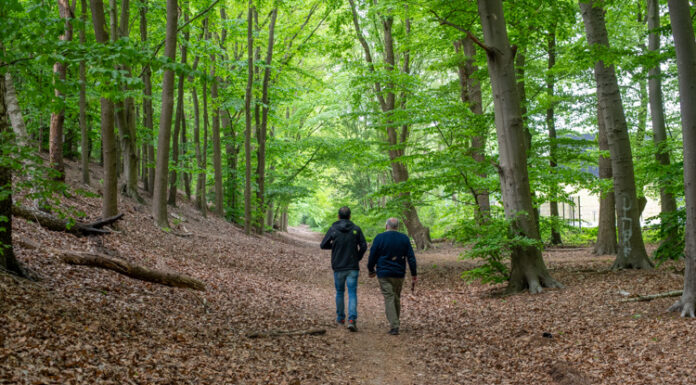 Doe 19, 20 & 21 februari mee aan de Veluwse Wandeldagen