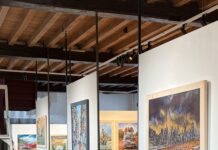 Solotentoonstelling ‘In Verf Verteld’ van Nunspeter Gert Wentzel in Museum Elburg