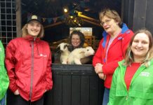 PvdA GroenLinks Nunspeet adopteert lammetjes ‘Dien’ en ‘Michel’: Een eerbetoon aan politieke iconen