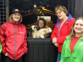 PvdA GroenLinks Nunspeet adopteert lammetjes ‘Dien’ en ‘Michel’: Een eerbetoon aan politieke iconen