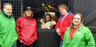 PvdA GroenLinks Nunspeet adopteert lammetjes ‘Dien’ en ‘Michel’: Een eerbetoon aan politieke iconen